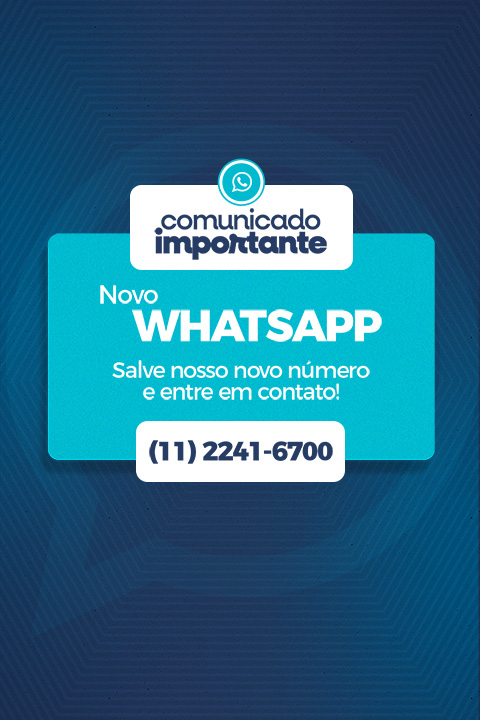 Novo WhatsApp