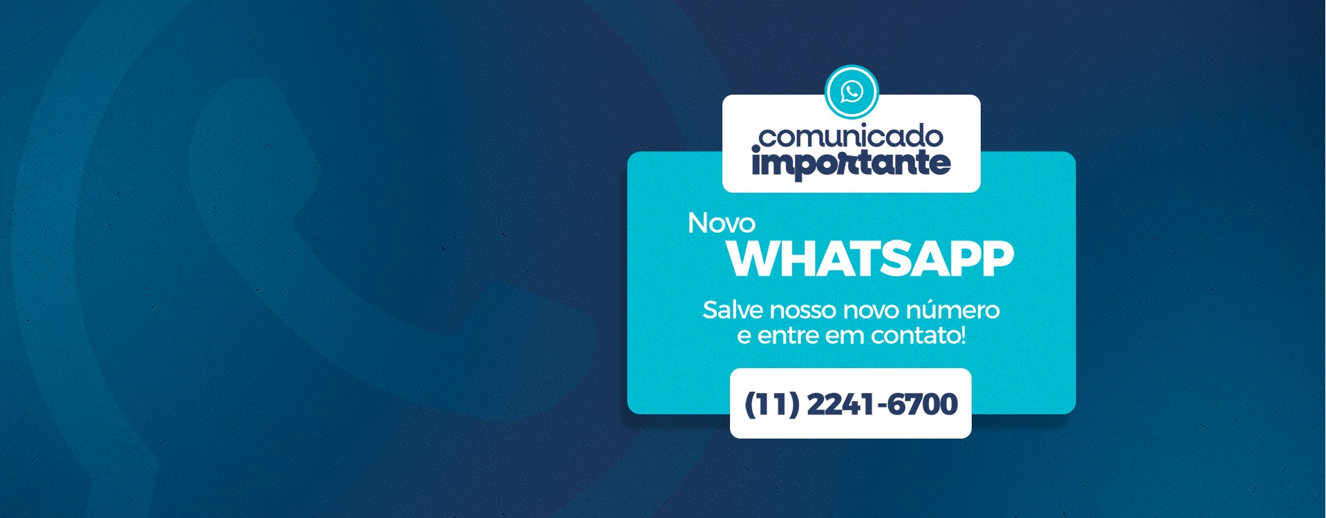 Novo Whatsapp